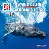 Was ist Was Hörspiel CD 013 13 Wale & Delfine + Geheimnisse der Tiefsee NEU