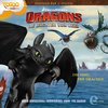 Dragons - Die Wächter von Berk Hörspiel CD 012 12 Die Insel der Drachen TV-Serie 2 Episode NEU & OVP